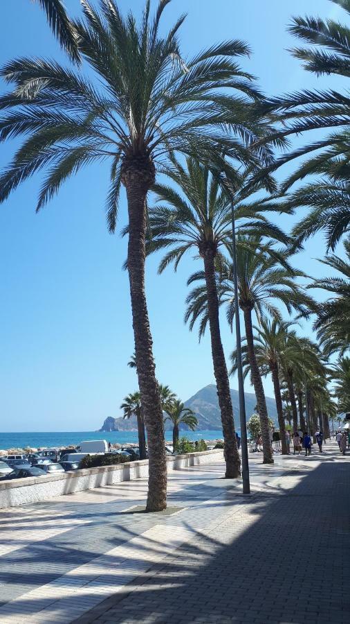 Small Studio Apartment Altea Extérieur photo